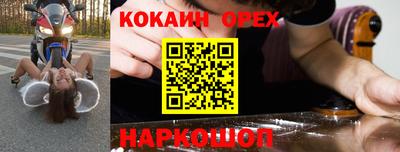 гидра Краснознаменск