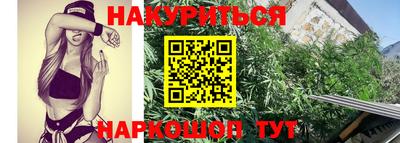 гидра Краснознаменск