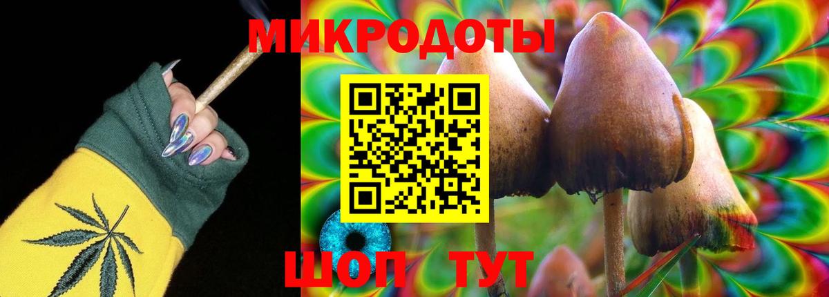 Каменск-Шахтинский  наркошоп  Вход с VPN  Псилоцибиновые грибы Psilocybe 